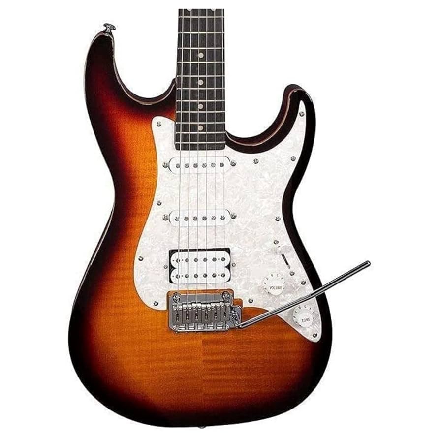 【ほぼ抜け殻】Michael Kelly Guitars BJW Amazon.com: Michael Kelly 6 String Electric Guitar, Right